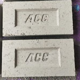 ACC Fly Ash Bricks